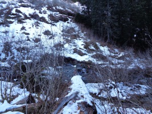 Snowy/icy log crossing